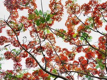 索尼高管称《宇宙机器人》是PlayStation近期最成功案例